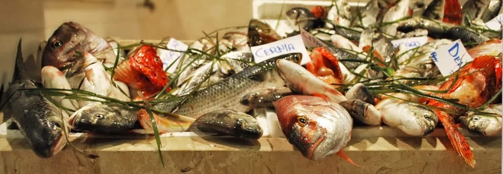 Mercato San Benedetto Cagliari, banco del pesce
