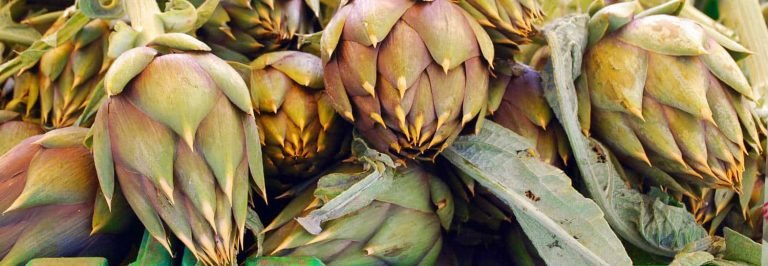 Carciofi spinosi sardi