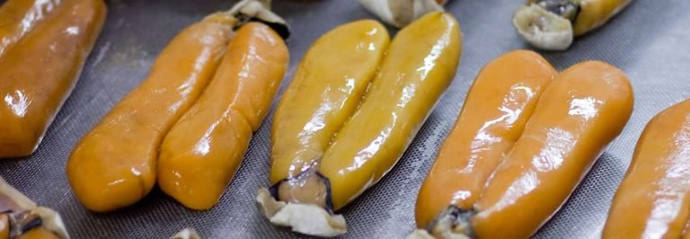 Bottarga fresca messa a stagionare