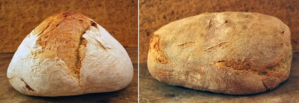 Civraxiu pane sardo di semola, due pagnotte