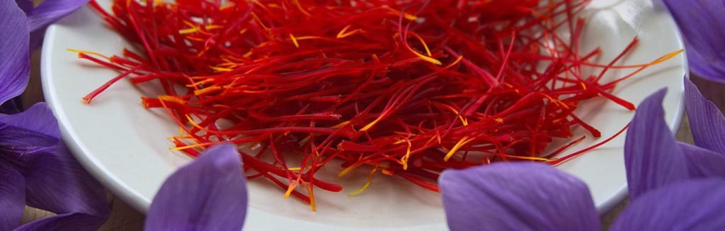 Zafferano rosso in stimmi e fiori viola