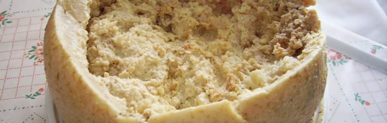 Formaggio con vermi sardo casu marzu aperto