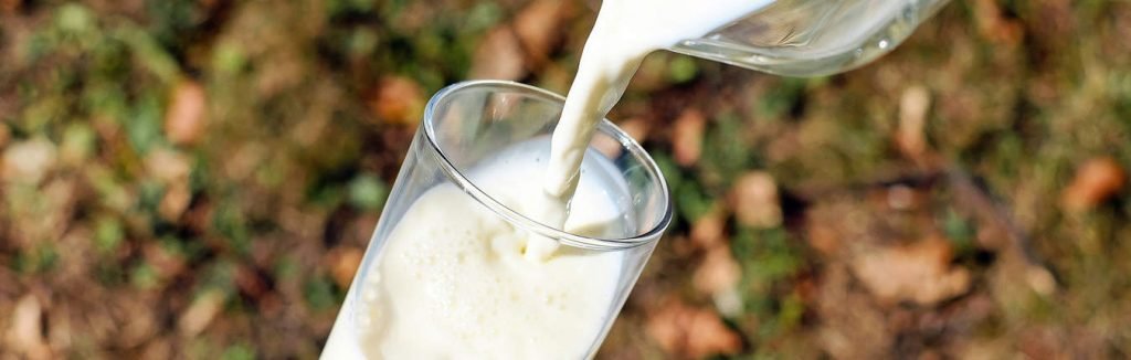 Latte di pecora versato in bicchiere di vetro